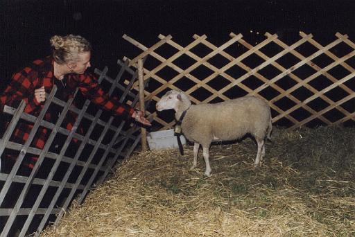 2003_16_Wolke, das Schaf.jpg